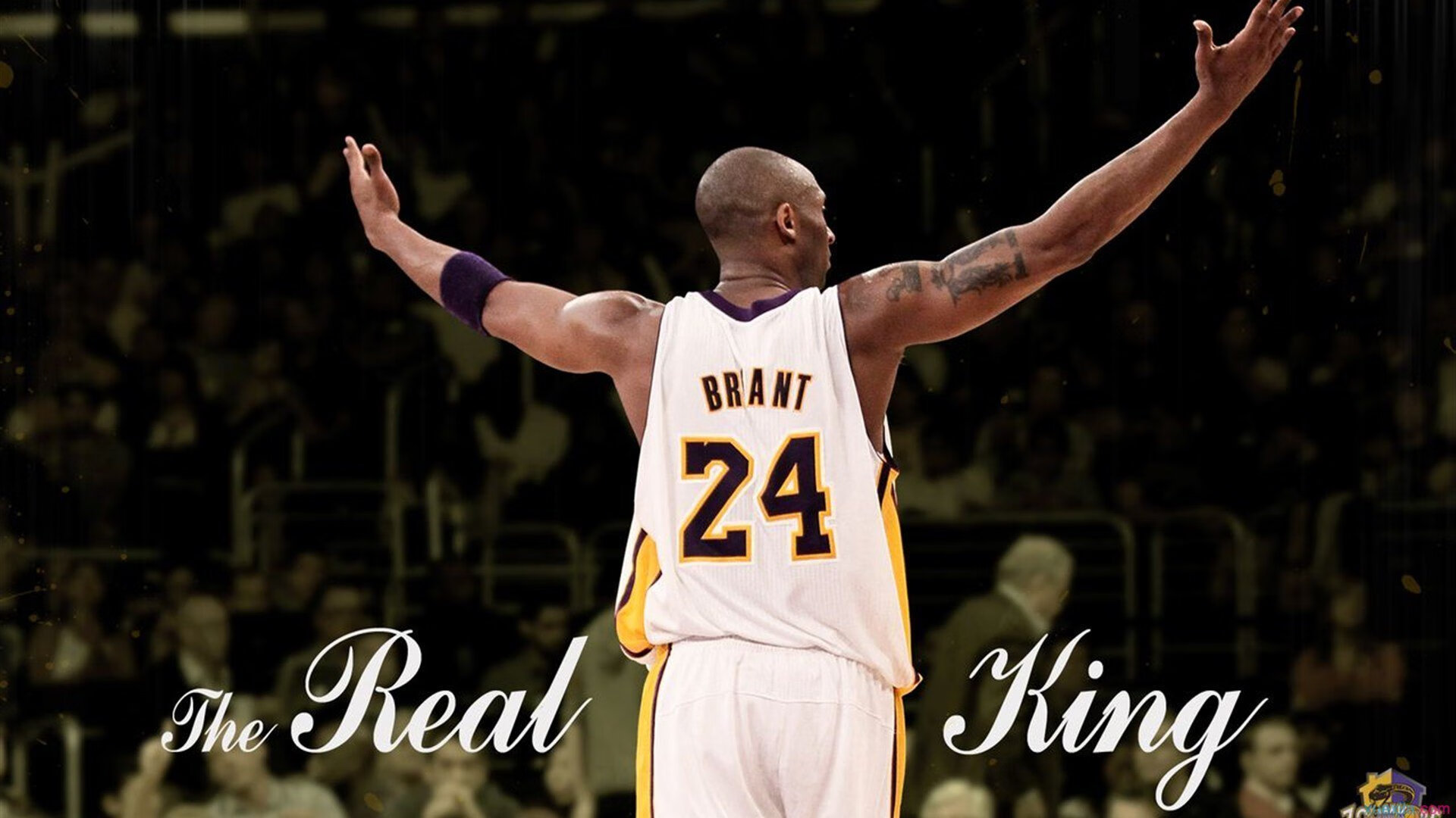 开云体育娱乐-CBA赛场燃起中国篮球希望，cba赛场燃起中国篮球希望